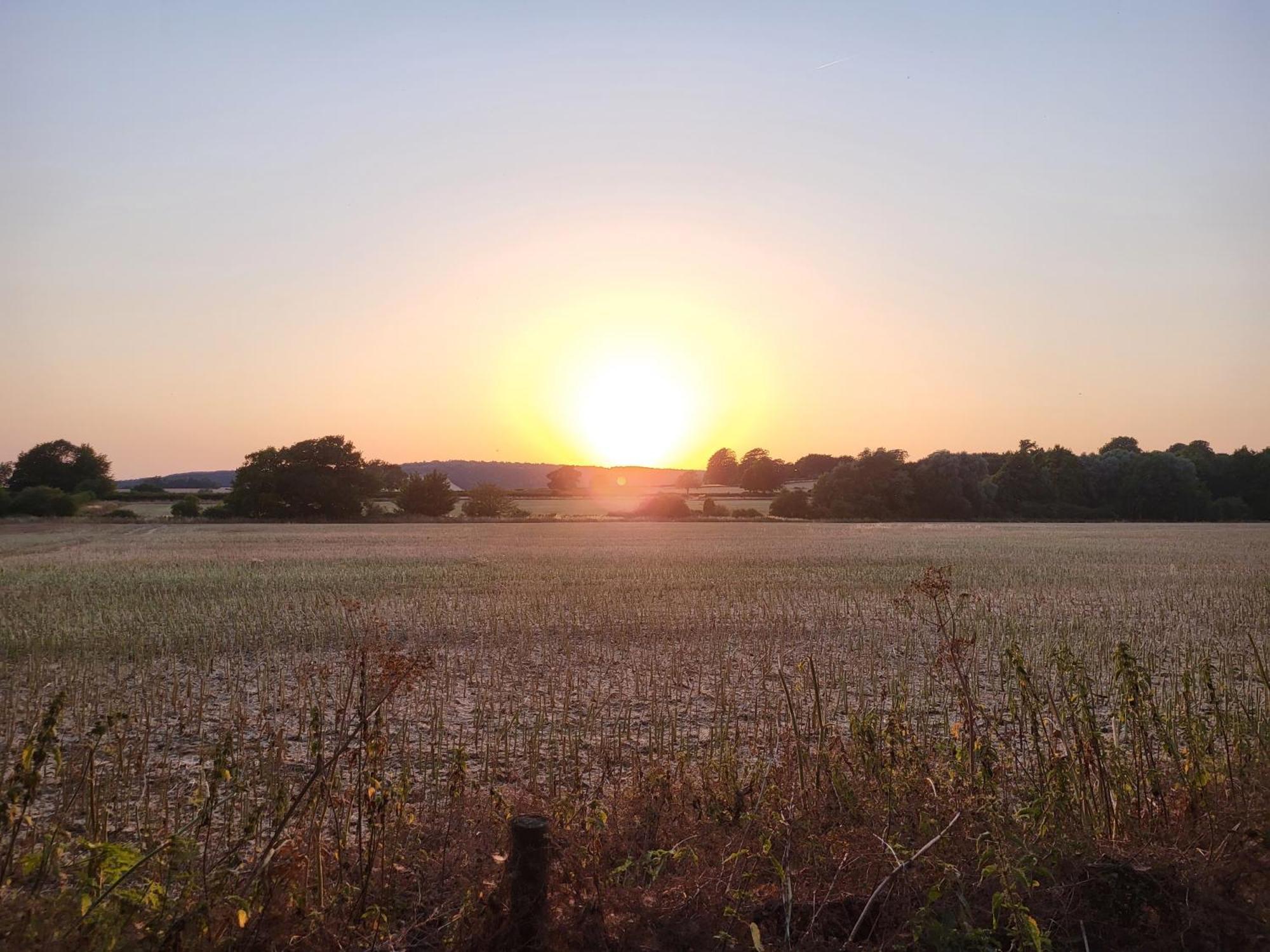 Unique & Rural Child Friendly Annexe With Large Gardens, Games & Tennis Court - Chichester Holiday Properties Esterno foto