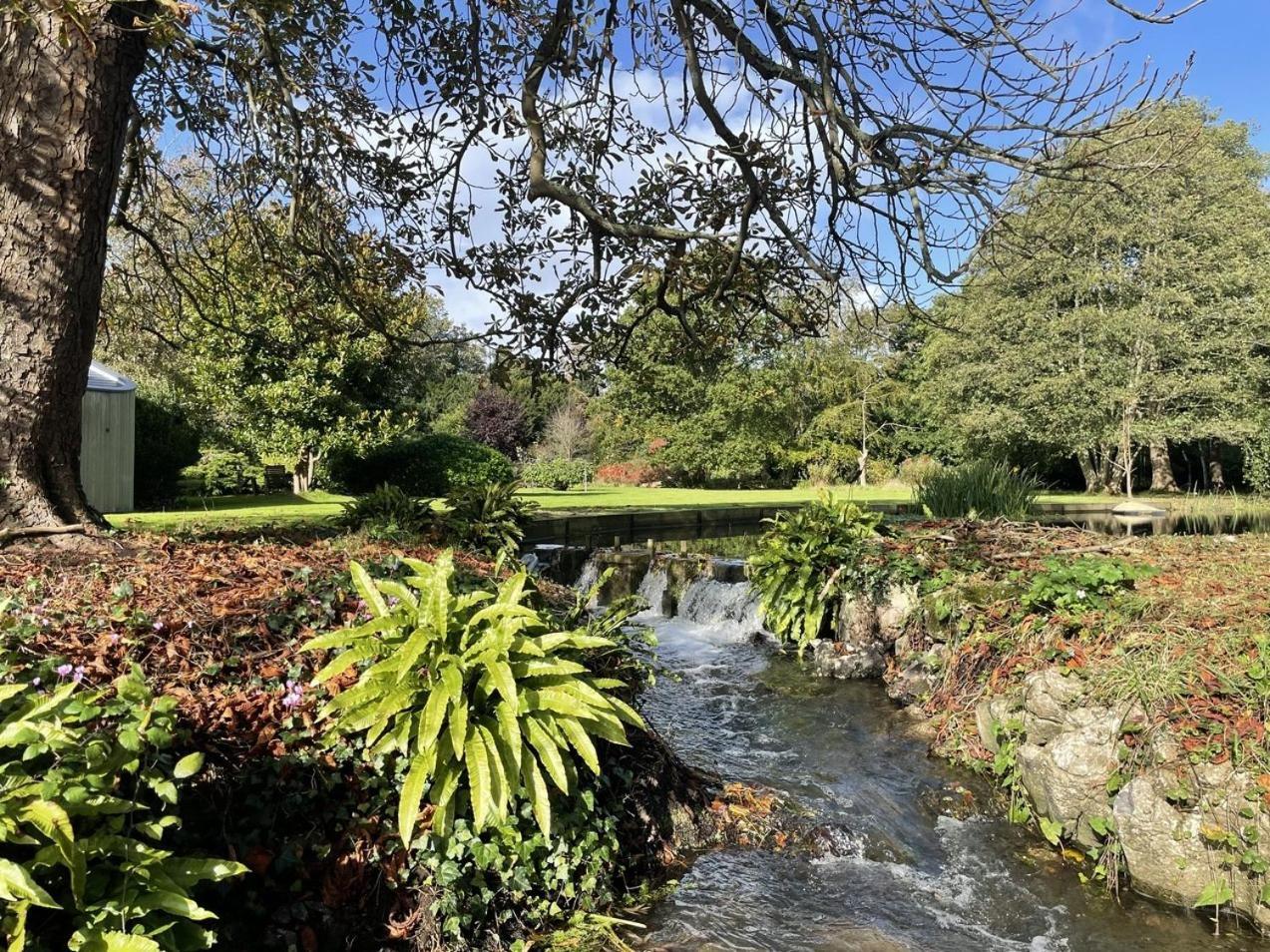 Unique & Rural Child Friendly Annexe With Large Gardens, Games & Tennis Court - Chichester Holiday Properties Esterno foto