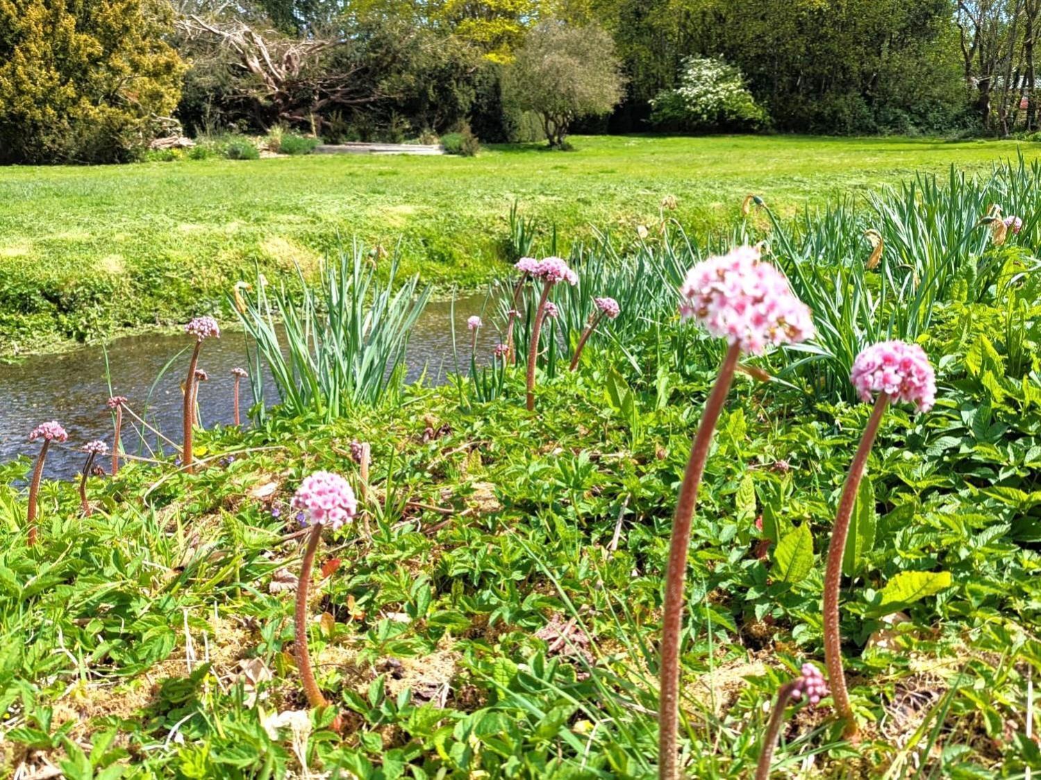 Unique & Rural Child Friendly Annexe With Large Gardens, Games & Tennis Court - Chichester Holiday Properties Esterno foto