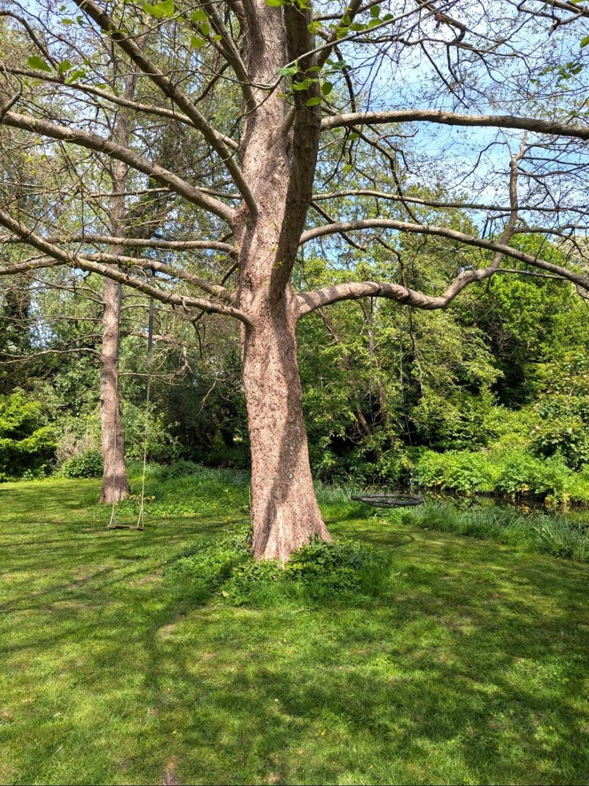 Unique & Rural Child Friendly Annexe With Large Gardens, Games & Tennis Court - Chichester Holiday Properties Esterno foto