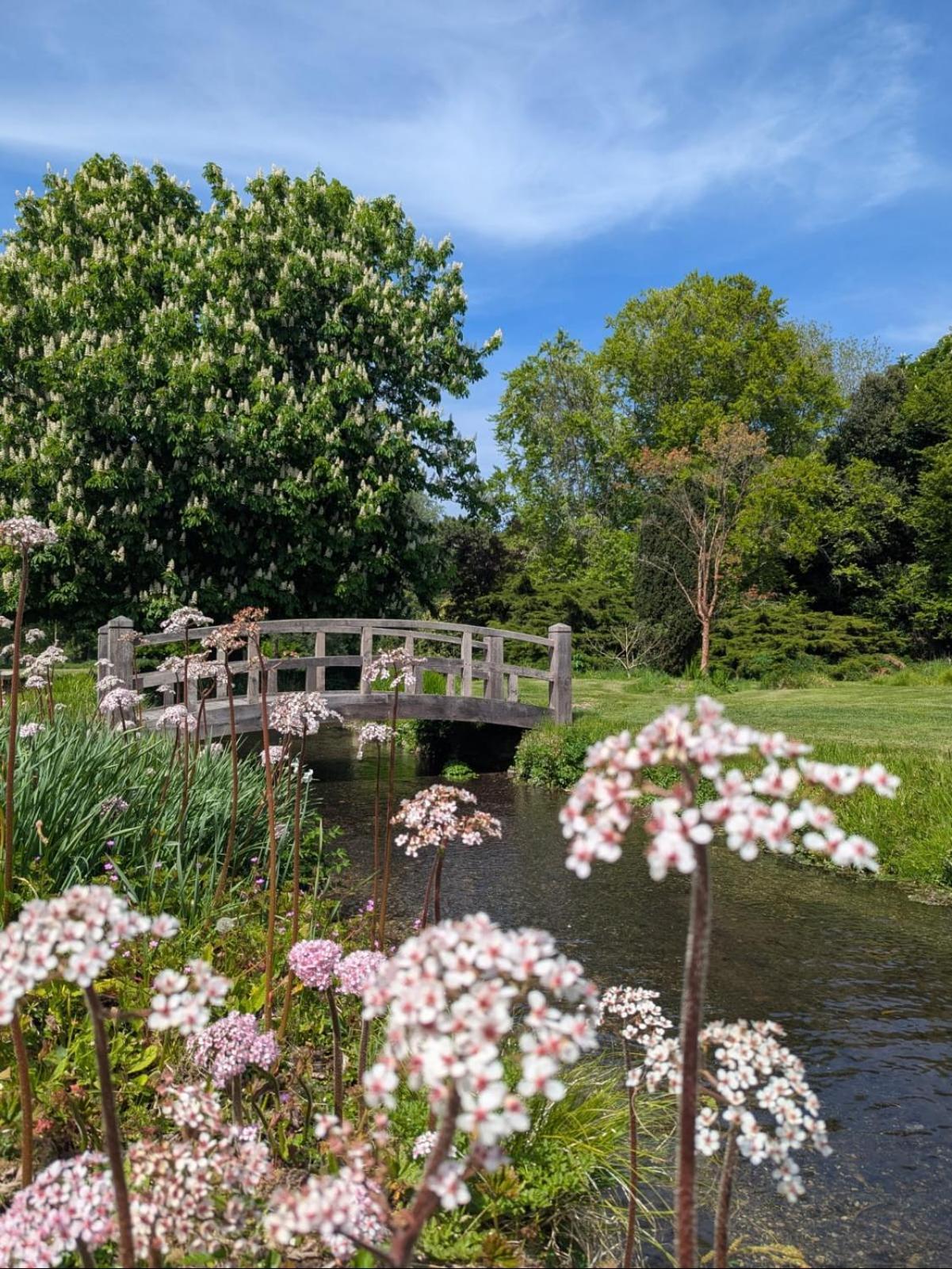 Unique & Rural Child Friendly Annexe With Large Gardens, Games & Tennis Court - Chichester Holiday Properties Esterno foto
